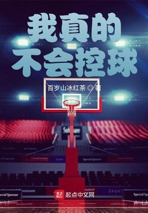 我真的不会打篮球txt