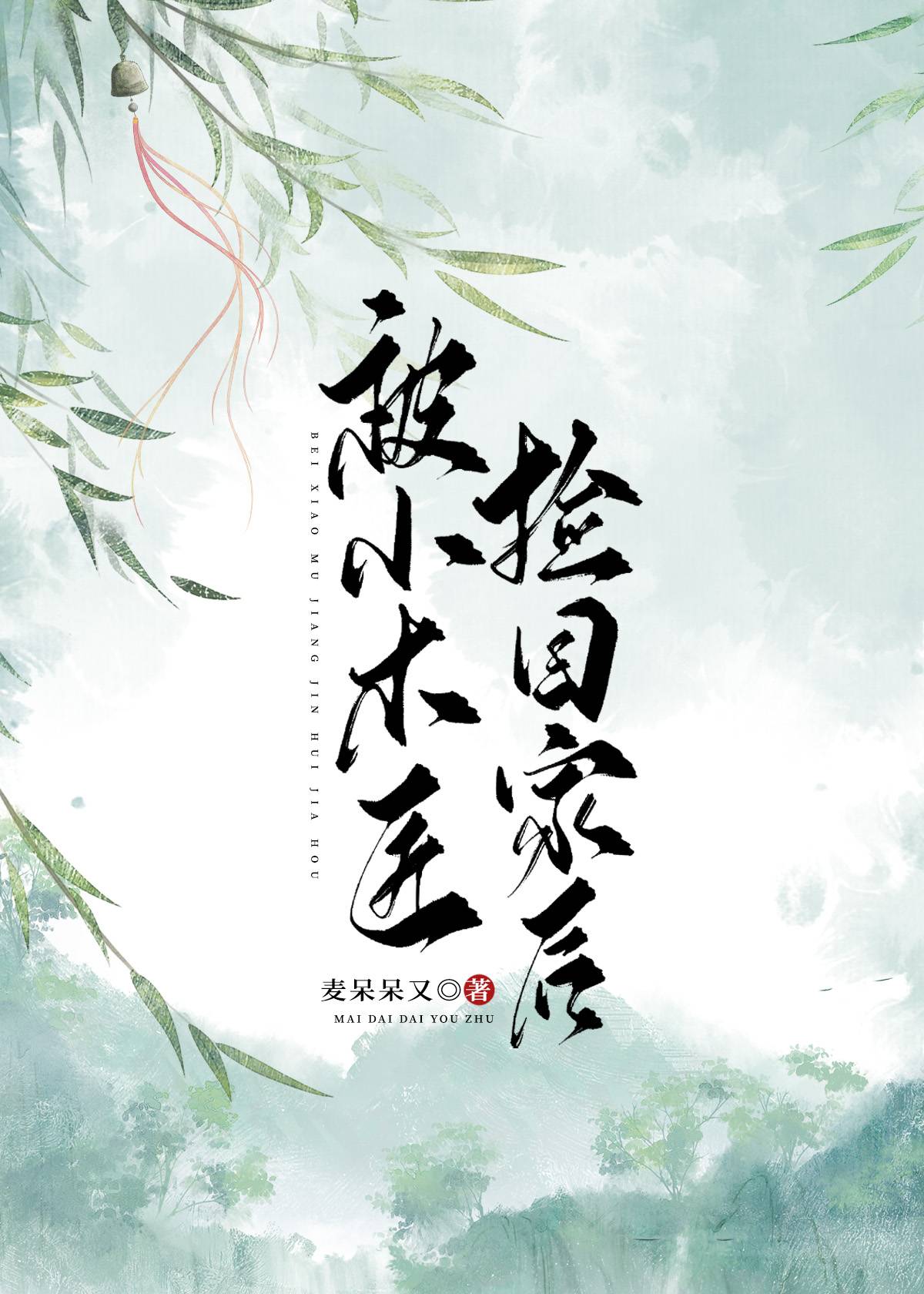 被小木匠捡回家后 百度云