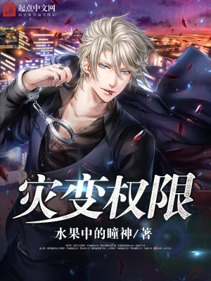 灾难权限小说