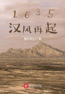 1635汉风再起TXT百度网盘