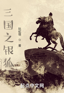 三国之银狐TXT下载