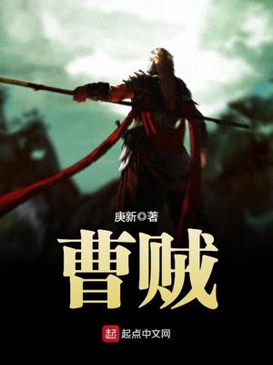 曹贼?我真不是