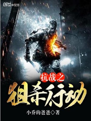 抗战之狙杀行动下载