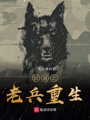 抗战之老兵重生小说免费阅读