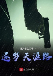 逐梦天涯路小说