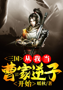 三国曹家逆子小说