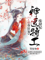 帝尊狂宠:神医特工废材妃
