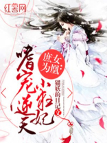 庶女为凰:嗜宠逆天小狂妃等级划分
