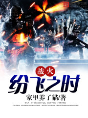 战火纷飞时代
