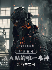 绝地求生4am的唯一韦神小说