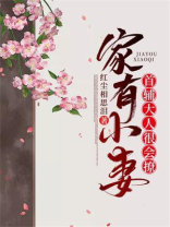 家有小妻首辅大人很会撩
