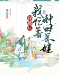 穿越后我种田养夫郎