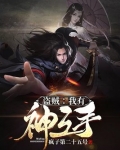 盗贼:我有神之手txt