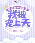 嫁给退伍糙汉后我被宠上天哪集圆房的