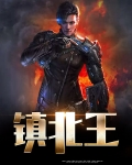 镇北王小说免费阅读