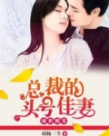 盛世婚宠总裁的头号佳妻