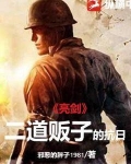 亮剑:二道贩子的抗日