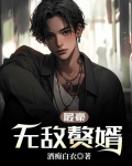 最豪无敌赘婿