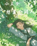 胎穿：被王爷爹捡走后