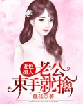妻色撩人:亿万老公宠上瘾 小说