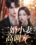 二婚大叔宠美妻小说