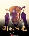 柏林之光乒乓球特制底板