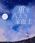 重生八五当家做主