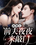 离婚后，前夫夜夜来敲门