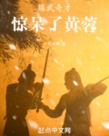 练武奇才什么意思