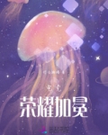荣耀加冕 追梦不休