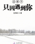 这辈子只为遇见你