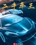 二手车王