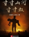 寸寸山河寸寸血 小说