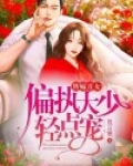 替嫁丑女，偏执大少轻点宠