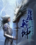 龙战乾坤