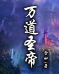 万道圣帝