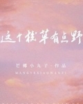 这个校草有点野讲的什么