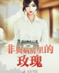 非典病房里的玫瑰是谁