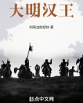 大明汉王