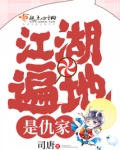 江湖遍地是仇家下一句