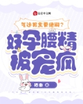 男主是气运之子的小说