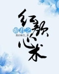 媚君 完结+番外