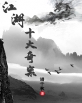 江湖十大奇案 小说