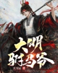 大明驸马爷阿星