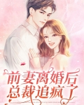 离婚后总裁追疯了小说