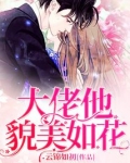 大佬他貌美如花