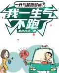 一升气能跑多远？我一生气不跑了