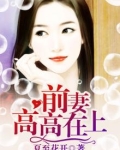 前妻高高在上免费阅
