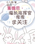 离婚后,偏执指挥官夜夜求关注 小说