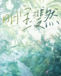 明宝斐然